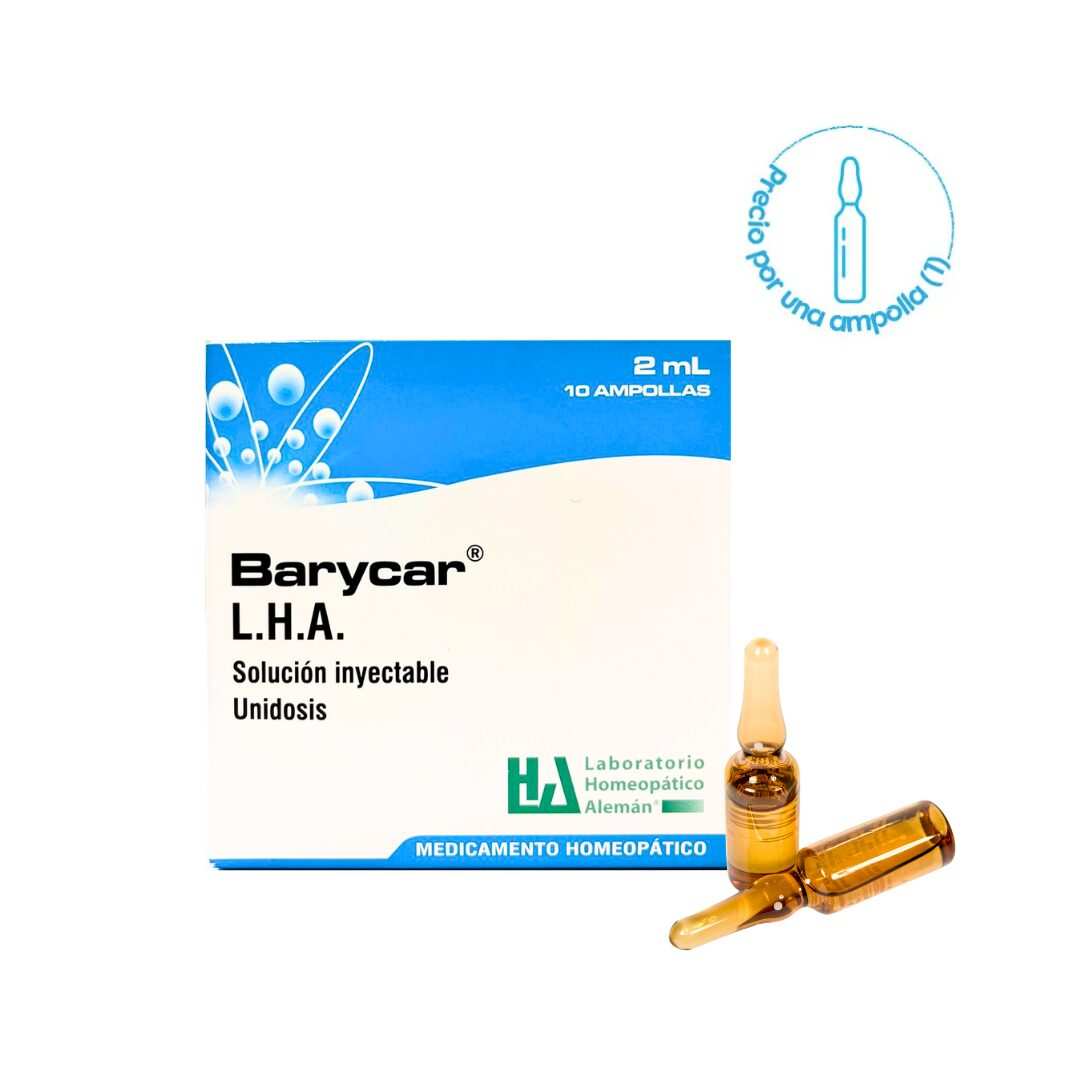 BARYCAR AMP BARYCAR AMP