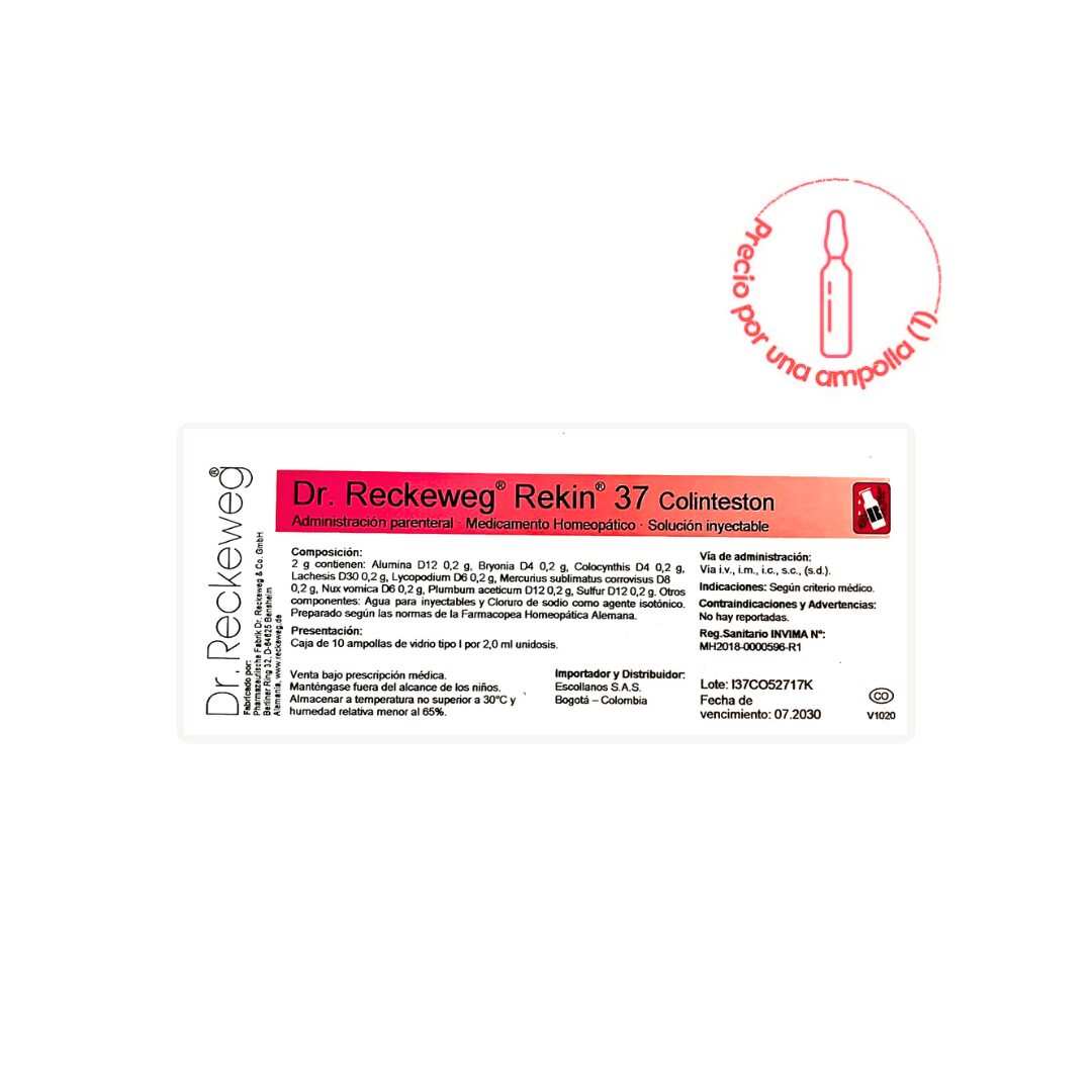 COLINTESTON AMP COLINTESTON AMP