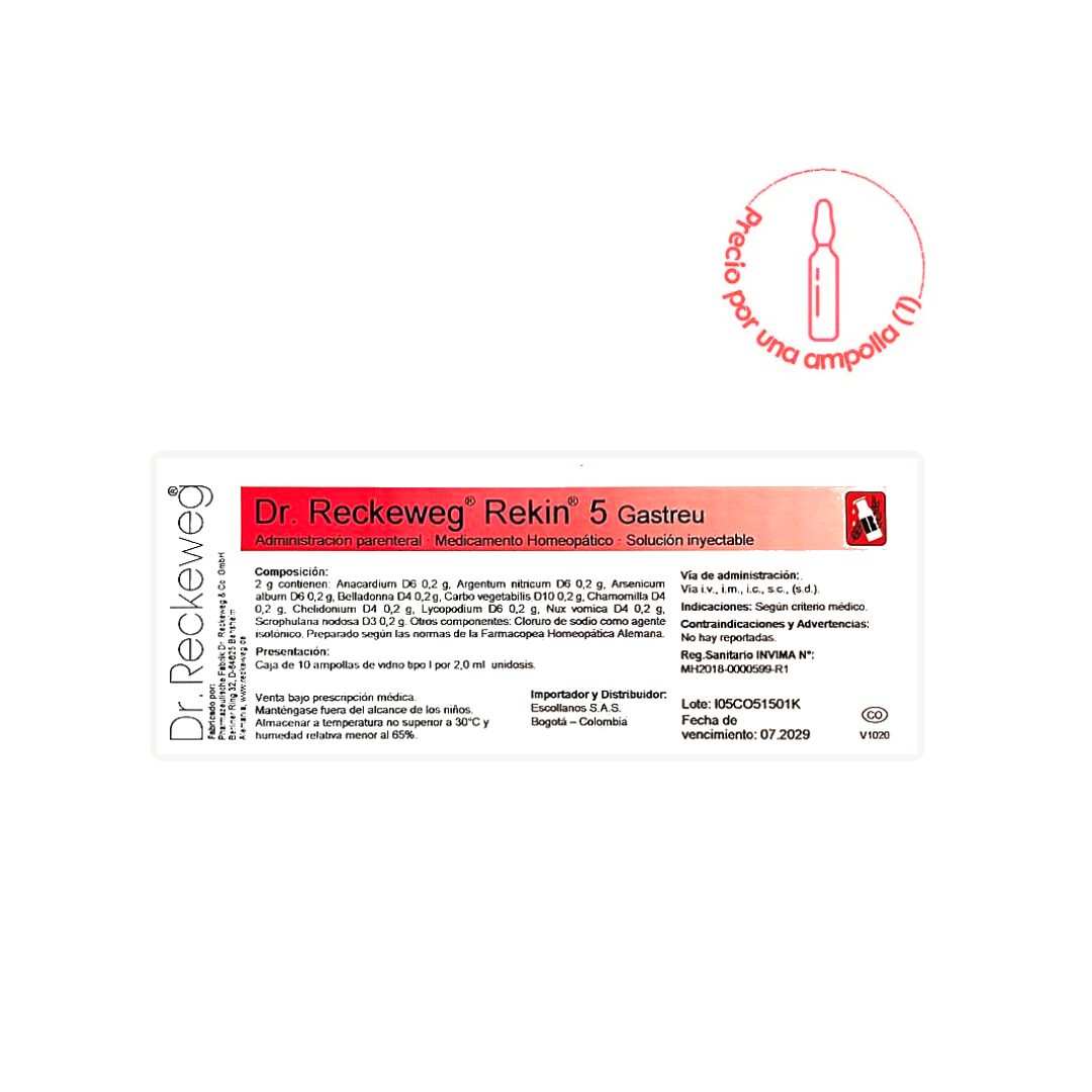 GASTREU AMP GASTREU AMP