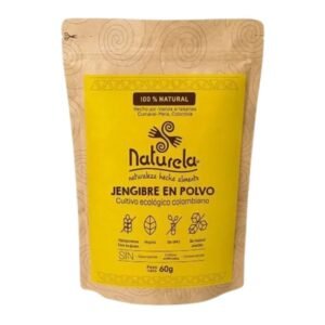 alimentos-naturela-JENGIBRE-EN-POLVO-60-GR.jpg