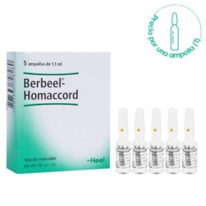 heel-berbeel-hommacord-amp-01