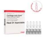 heel-cartilago-suis-amp-01