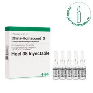 heel-china-homaccord-amp-01