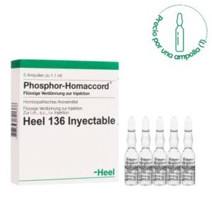 heel-phosphor-homaccord-amp-01