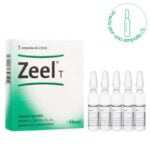 heel-zeel-t-amp-01