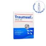 linea-veterinaria-heel-TRAUMEEL-AMP-01.jpg
