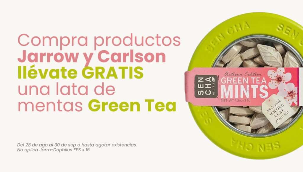 BANNER DE TEMPORADA PG WEB