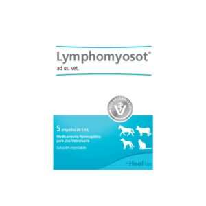 Lympho amp vet