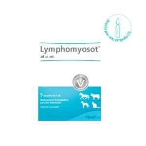 Lympho amp vet Lympho amp vet