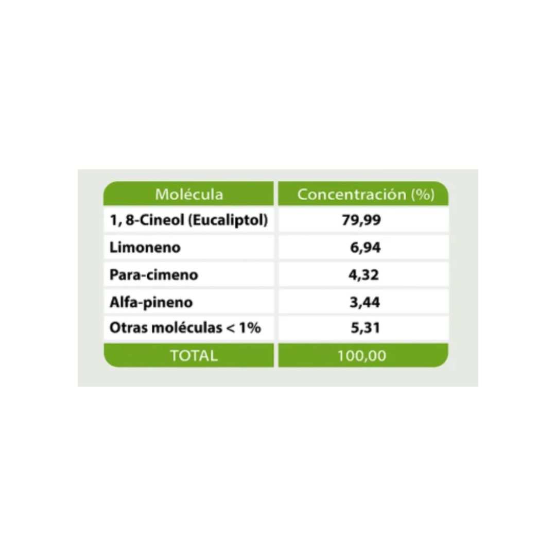 EUCALIPTO (1) EUCALIPTO (1)