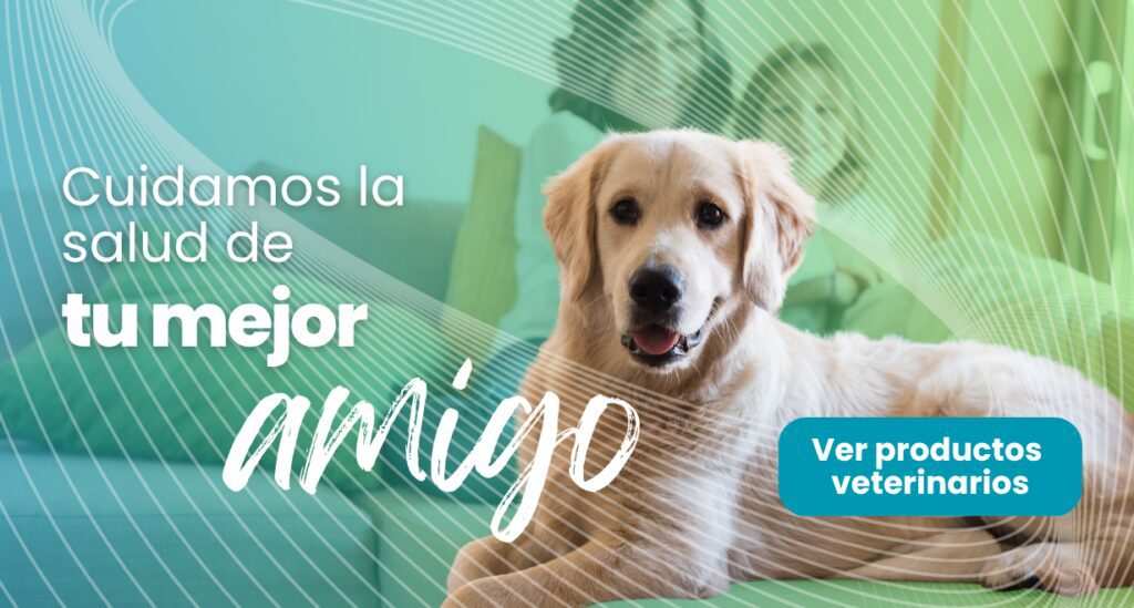 BANNER DE TEMPORADA PG WEB (1)